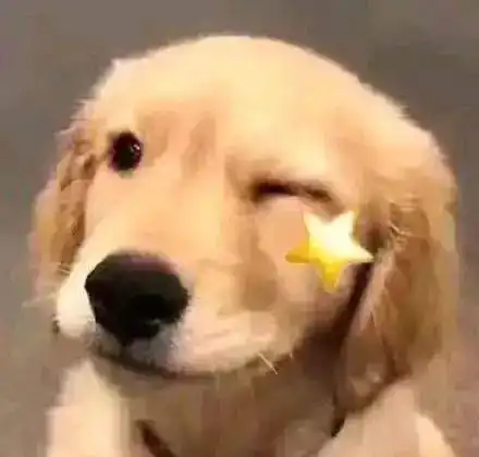 均薪60万亚洲第一的定量金融专业申请攻略都在这了