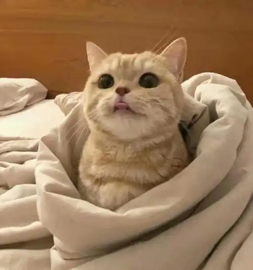 干净温柔的治愈系文案