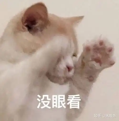 对pua浪迹的欺诈你是怎么看的