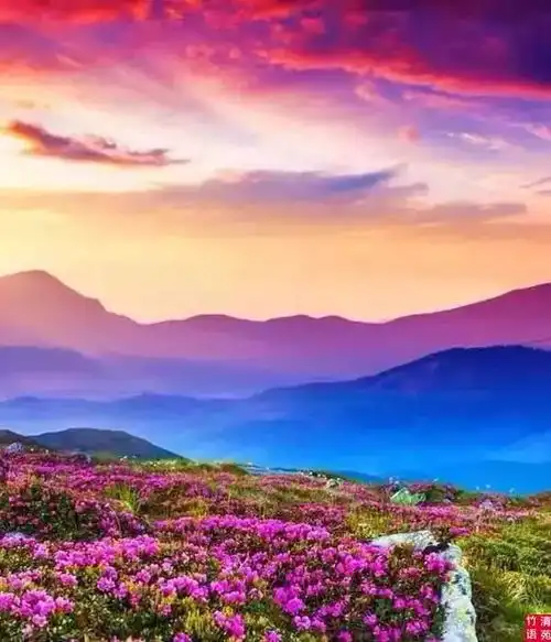 冯小刚当我真正爱自己,我开始远离一切不健康的东西