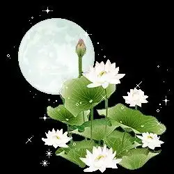 蔷薇花前听风语散文