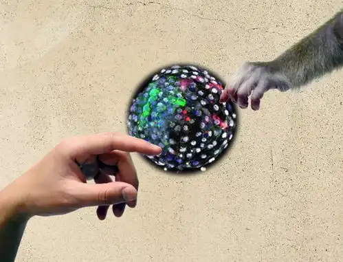 中美科学家造出人猴胚胎,这会是魔幻剧情的开端吗