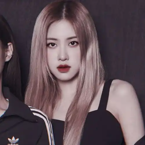 澳洲玫瑰,rose人间蜜嗓,心动为你但别盯着我blackpinkgone网易订阅