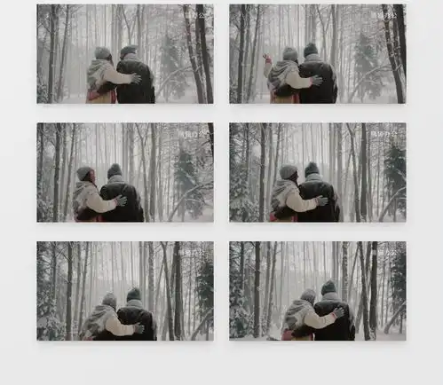 一对情侣相拥走在下雪的森林里实拍视频素材下载mp4格式19201080像素熊猫办公