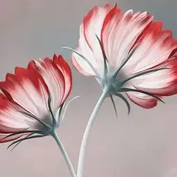 敷衍,真的同冷漠一样伤人