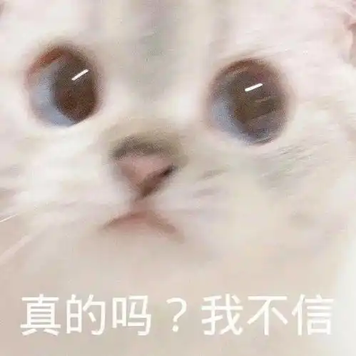 猫系女孩必看这点小心机让你变惊艳