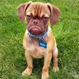 怎么样电话价格途牛攻略