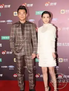 2015微博之夜赵丽颖成大赢家众女神红毯礼服pk