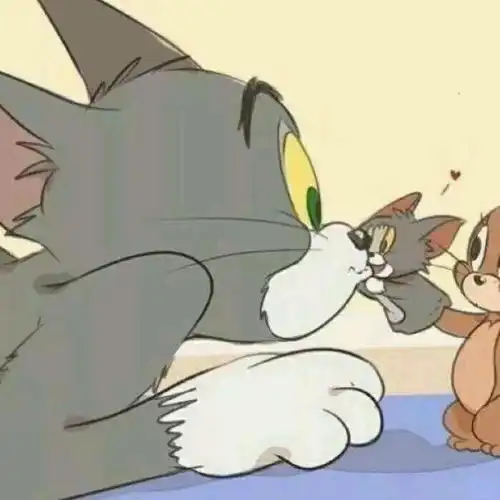 后来啊,汤姆老了,主人不再喜欢他,新来的猫也欺负他