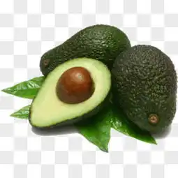 牛油果图片素材免费牛油果png设计图片大全图精灵