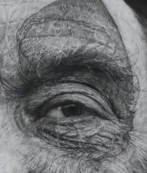 国外学院派素描,真精彩