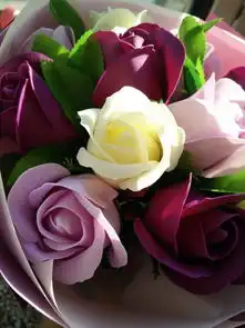 风景街景旅行美景鲜花清新摄影田园堆糖,美好生活研究所