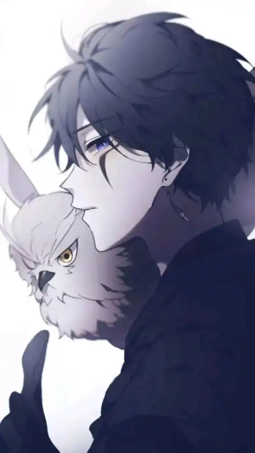 精致的手机壁纸1有二屏三分屏四分屏共100张