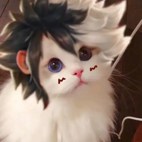 猫猫接头王者头像3