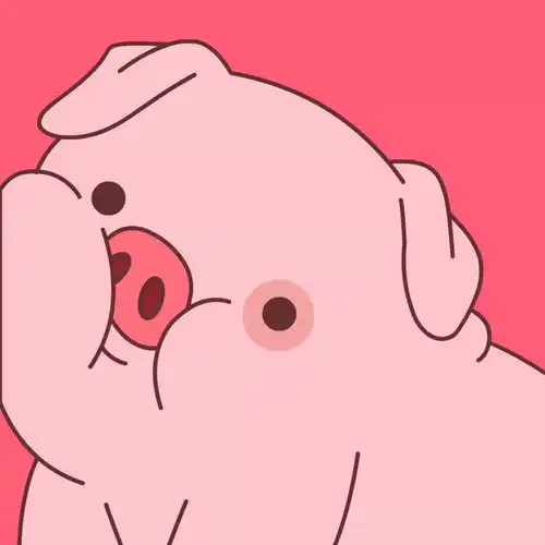 可爱的卡通猪头像摆出