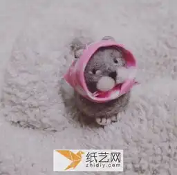 呆萌羊毛毡馒头猫小玩偶的手工diy制作教程图解