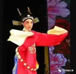 吴琼,一天不吃喝,带病上演黄梅戏女驸马,谢幕时已全身无力搜狐...