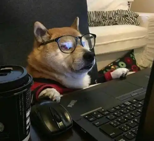 大家都是努力工作的小动物