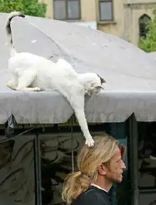 快点,给我把那个蓝猫淘气打开