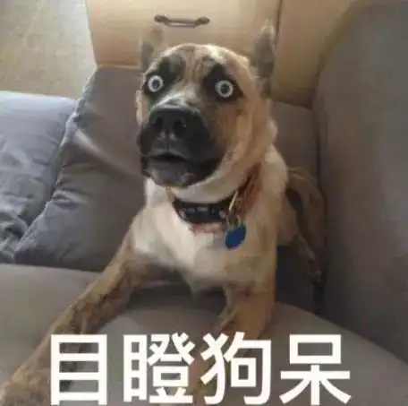 常见狗狗做出的这3个动作,不是卖萌是求救