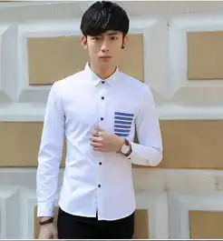 锐力克春季新款男士经典帅气衬衫修身型大码男装长袖舒适简约时尚翻领休闲潮流男衬衣026