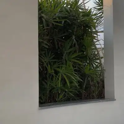 高级感朋友圈背景ins治愈系