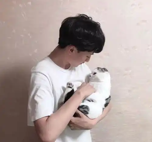 猫系男生动漫可爱头像少