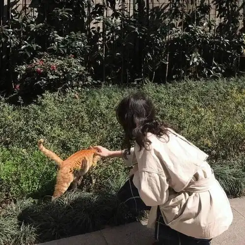 好看的仙女系图片头像图