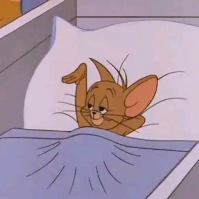 猫系人物头像情侣头像