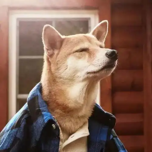禁欲系男头像动物赵大人