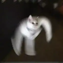 可爱的沙雕头像教你怎样和内向的女孩子谈恋爱