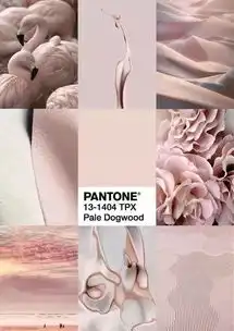 这一抹粉色,我喜欢