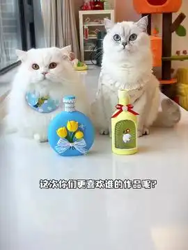 奶奶遭遇车祸摔伤猫咪的迷惑行为抖音创作季萌宠出道计划治愈世界治愈你治愈系