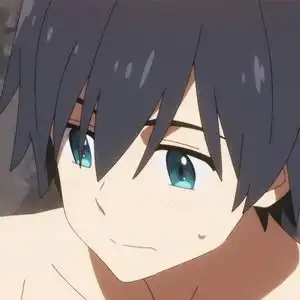 darlinginthefranxx国家队02广哔哩哔哩头像no.2