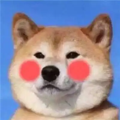 萌宠情侣头像一左一右一对两张情侣头像猫狗可爱卖萌