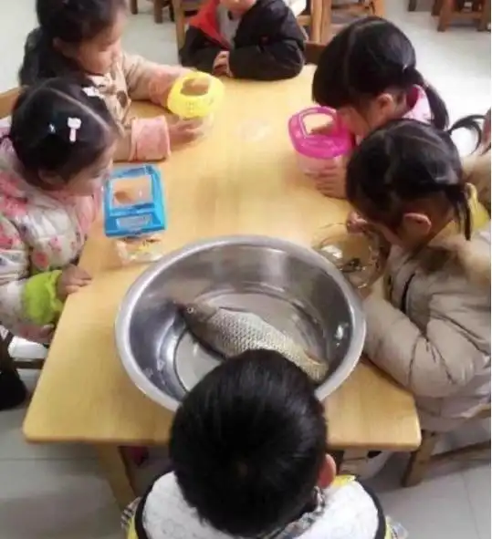 老师给学生买了蛋糕,看到娃带的勺子之后,网友干饭人的勺子