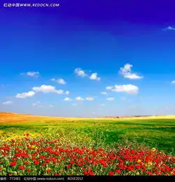 蓝天白云下的草原和近处的一片红花