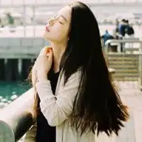 小清新简单图片树微信头像图片大全