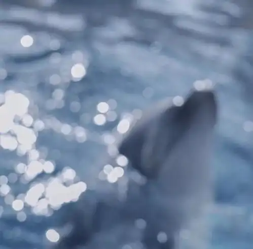 头像壁纸也曾留恋,那些过往