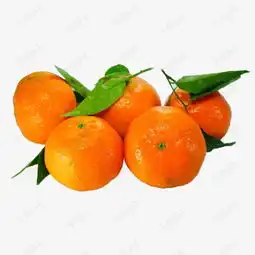 水果桔子素材图片免费下载高清装饰图案png千库网图片编号6837383