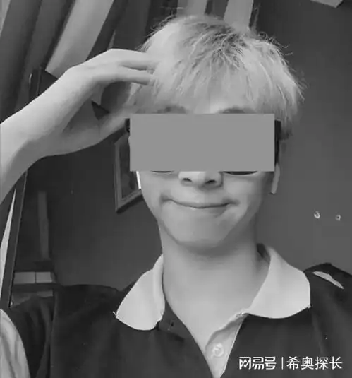 只愿玫瑰年年为他盛放鹿道森事件启发