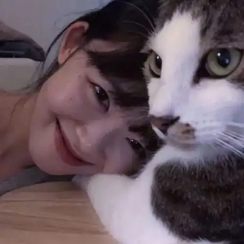 一组猫系女生头像,请签收