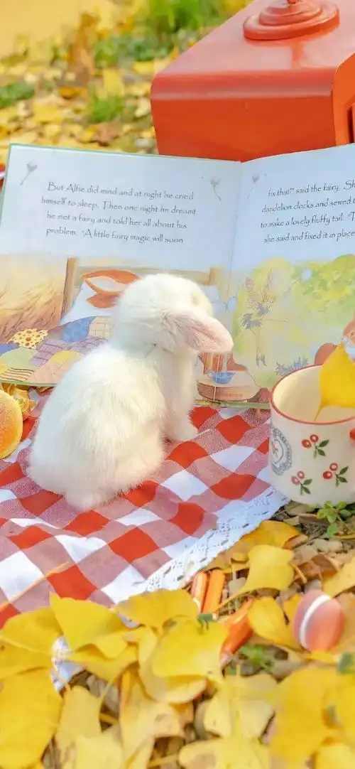 白色好看治愈系壁纸头像