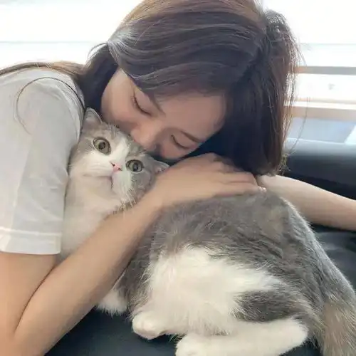 头像丨月有众星,我只要你