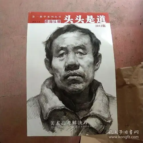 第一教学系列丛书头头是道素描头像2012版