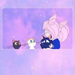 在线收听小白吖的播客荔枝