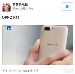 网友曝光oppor11谍照果然是后置双摄