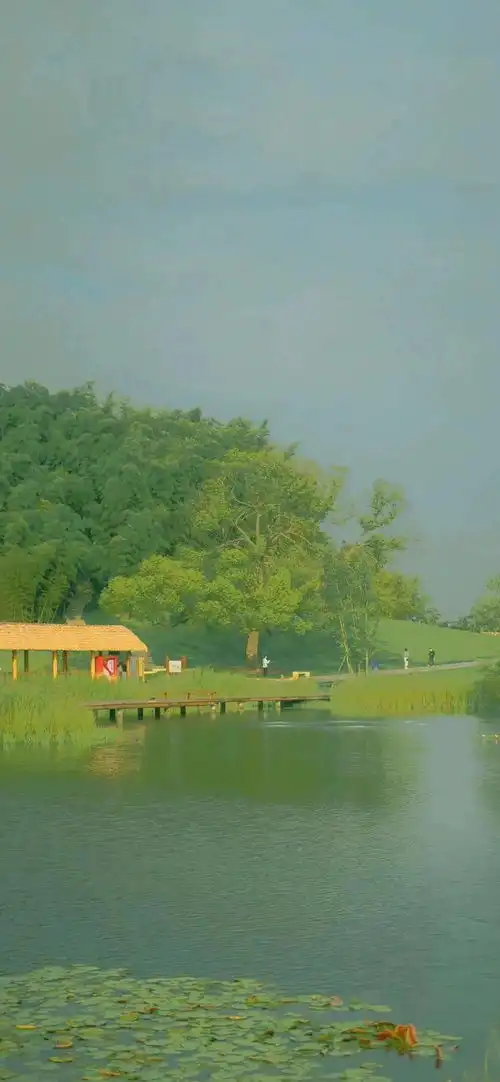 言语时间久了,不知道是喜欢,还是执念苏暖