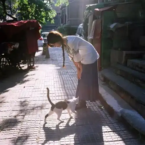 温暖走心的治愈系句子,值得珍藏