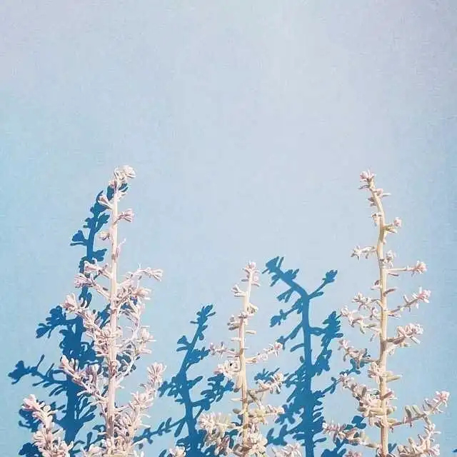 致自己大彻大悟的人生格言,句句充满智慧